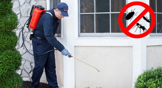 Almus Gümüşkurt İlaçlama böcek ilaçlama ve haşere kontrolü — ilaclama-tr.com